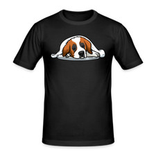 Bernhardiner Schlafender