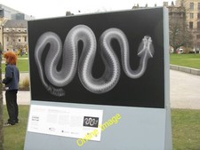 Photo 12x8 Rattlesnake in St