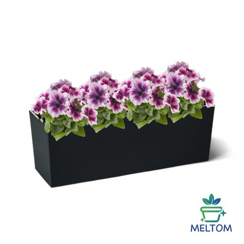 Blumenkasten mit ohne - blumenkasten, mit/ohne