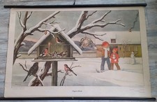  DDR,Schulkarte Rollkarte Lehrtafel Schulwandkarte Vögel im Winter Volk & Wissen