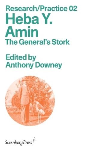 Heba amin anthony downey - heba,