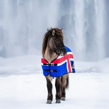 Top Reiter Anti Sweat Cooler -