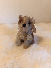 Selten steiff hund - hund, molly