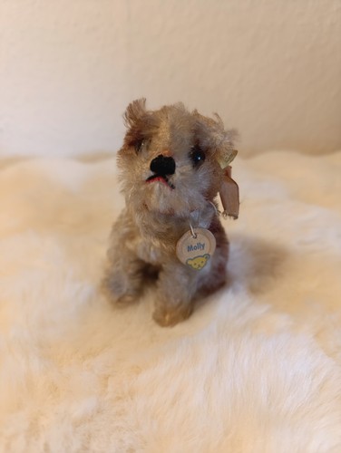 Selten steiff hund molly - selten,