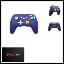 Retro Fighters BattlerGC Pro