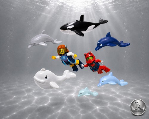 Lego delfine orca - lego®, delfine,