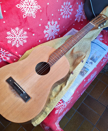 Die abgebildete gitarre - die, ist