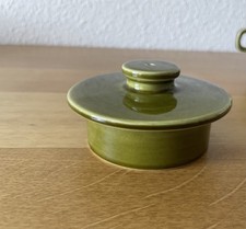 Hornsea Deckel Teekanne England Pottery