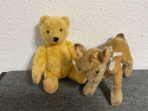 Steiff teddy 50er - 🍀🍀🍀steiff,