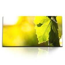 120x80cm Kunstdruck Bilder