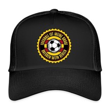 Dresden fan fußball ist meine - dresden,