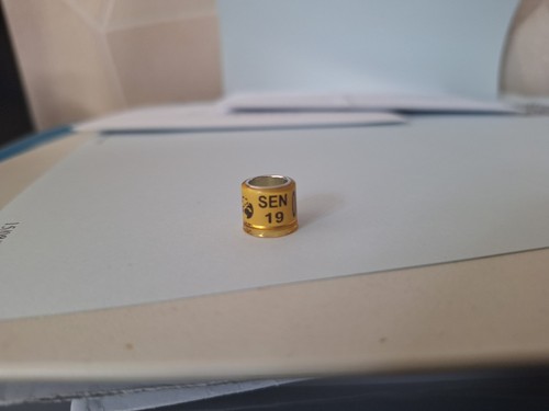 Taubenringe aus sénégal - 1,