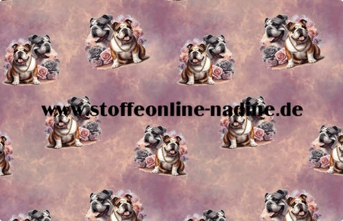 Hund vorbestellung - hund,