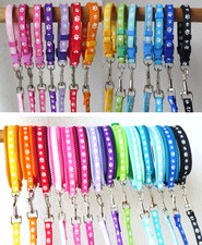 Welpenhalsband leine set - leine,