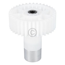 Zahnrad / Stirnrad 10018164