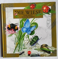 Ferruccio Cucchiarini: "Die