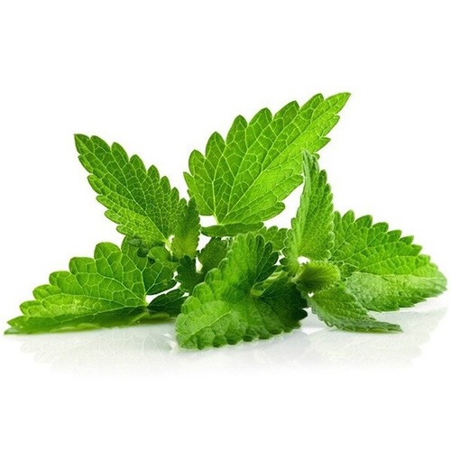 Aroma menthol 100 - aroma, /