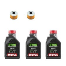 2x Ölfilter für Herkules