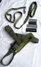 EYEIN Hundegeschirr mit Leine Grün Größe M Leichtgewicht Reflektierend Anti Zug