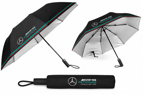 Mercedes amg petronas team - f1,