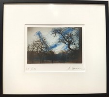 Arnulf Rainer "Mein Obstgarten