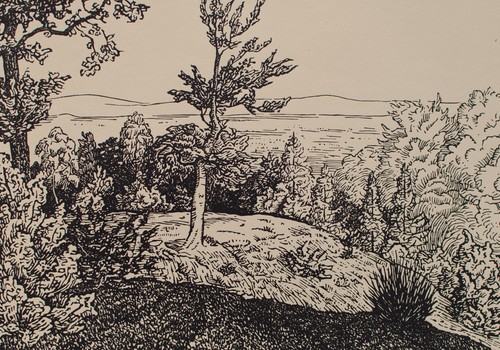 Berglandschaft wald karl - berglandschaft,