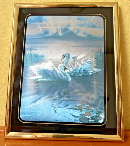 Schwäne bild - bild,