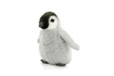 Baby-PINGUIN Junges