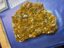 Barytxx  Schaustufe China