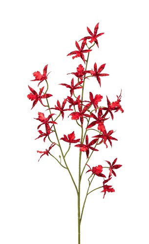 Künstliche orchideen cambria - künstliche,