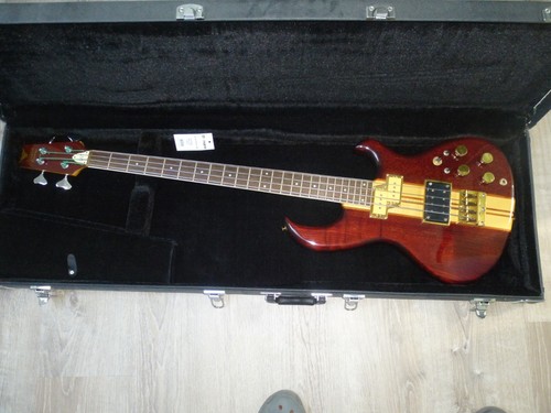 Rarität hoyer taurus bass - hoyer,