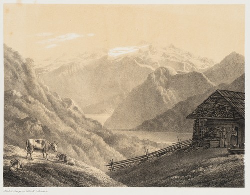 Lehmann dachstein - lehmann, (19.jhd),