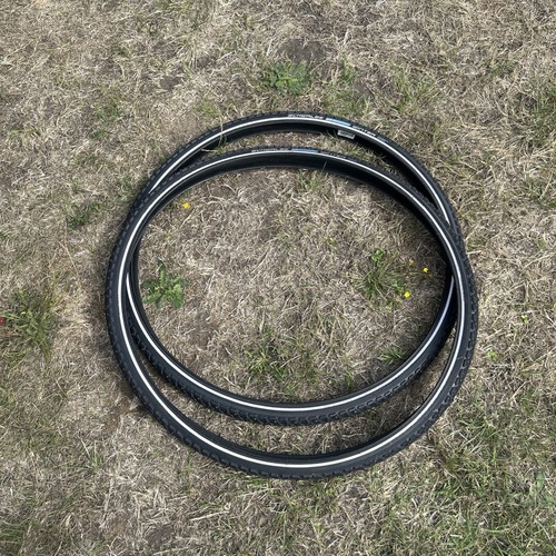Schwalbe paar marathon winter - paar,