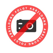 Stoßstange vorne mit PDC