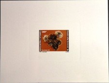 NEW CALEDONIA NEUKALEDONIEN 1981 674-75 DELUXE Seeigel Sea Urchin Fauna Life