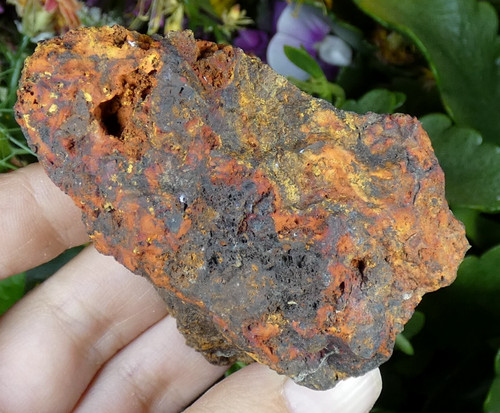 Realgar gold chili - realgar,