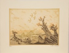 Simon Dittrich/Farbradierung/ e.a. Exemplar/ handsigniert /1980