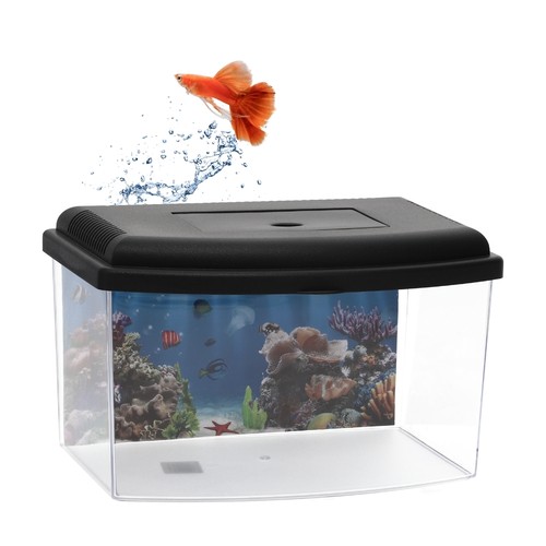 Mini aquarium terrarium - mini,