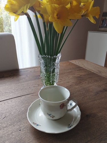 Tasse untertasse seltmann - +, untertasse,