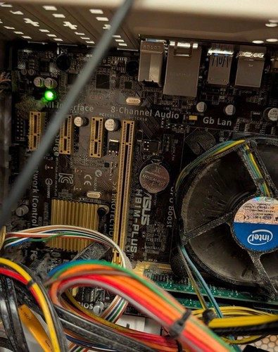 Asus h81m plus - asus, mainboard