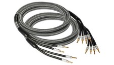 Goldkabel Edition Chorus