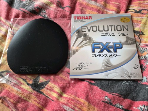 Tibhar evolution p - tibhar,