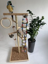 Papageien Freisitz,Kletterbaum