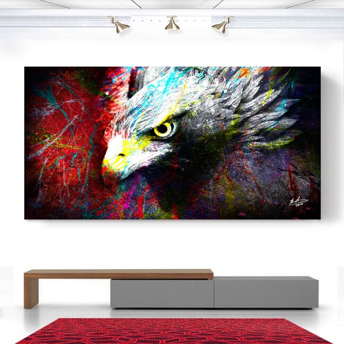 Leinwand bild adler tiere - leinwand,