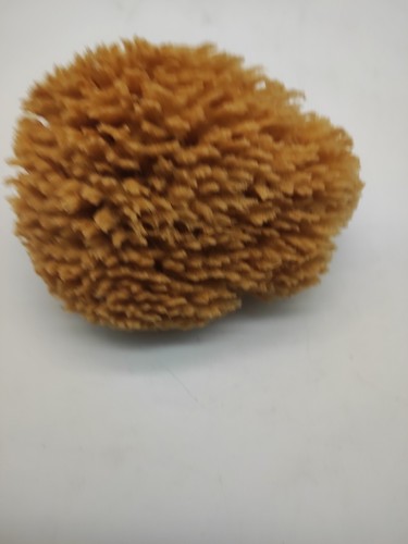 Pajarito naturschwamm 14cm - pajarito,