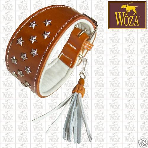 Premium windhundhalsband - premium,