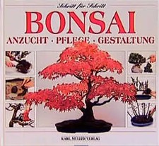 Bonsai. Anzucht, Pflege