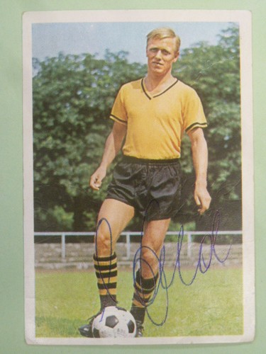 Sigfried held borussia - sigfried,