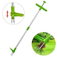 Unkrautstecher Entferner