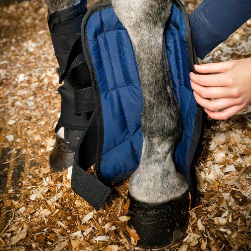 Horseware stable boot - stable,